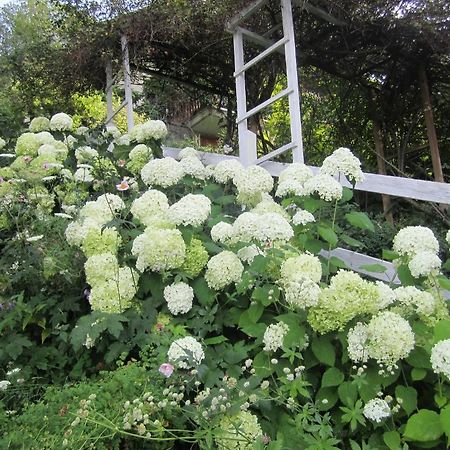 Вилла Il Giardino Dell'Artemisia Пила Экстерьер фото