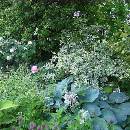 Вилла Il Giardino Dell'Artemisia Пила Экстерьер фото