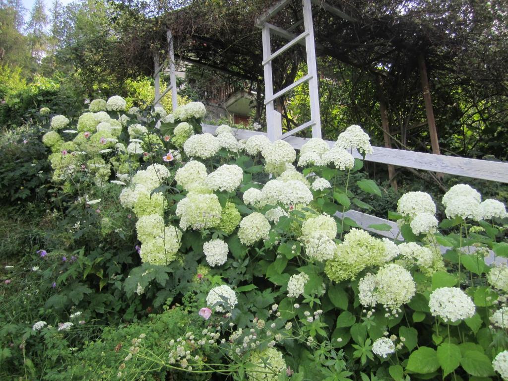 Вилла Il Giardino Dell'Artemisia Пила Экстерьер фото