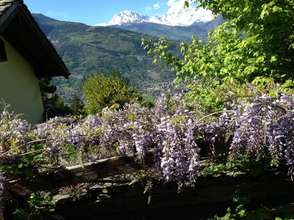 Вилла Il Giardino Dell'Artemisia Пила Экстерьер фото