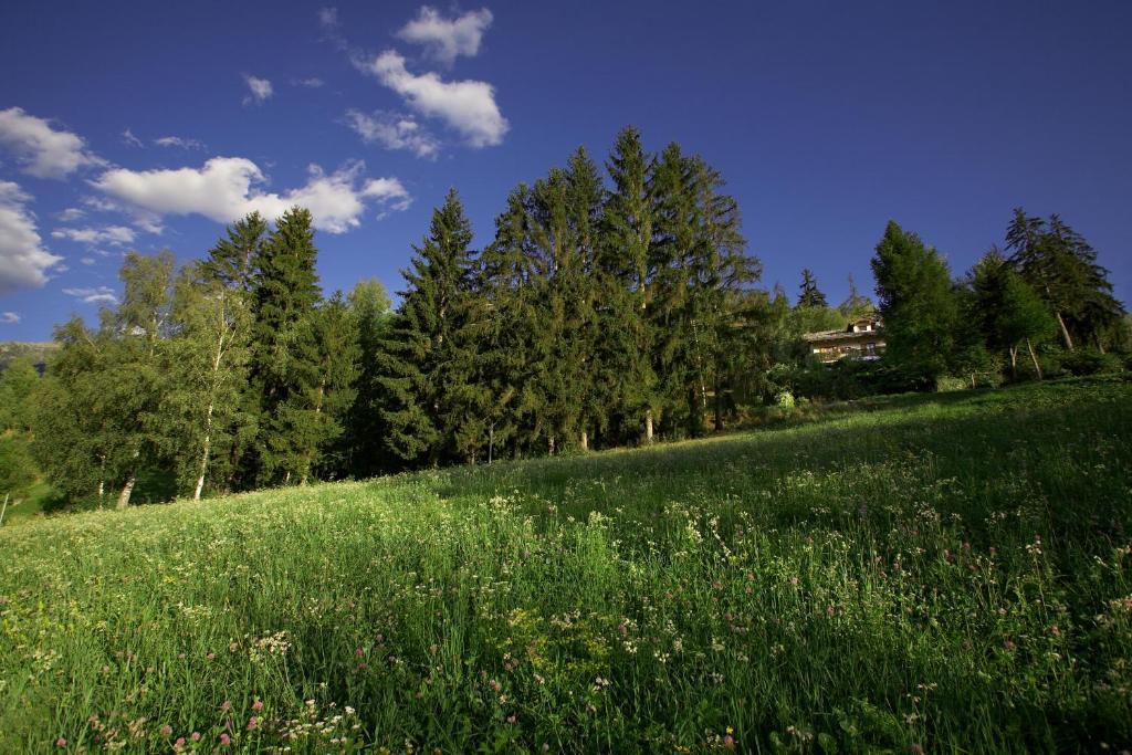 Вилла Il Giardino Dell'Artemisia Пила Экстерьер фото